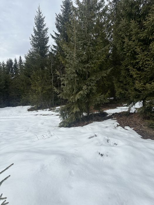 De vanzare Teren intravilan Belis-Balcesti, 700 mp, înspre Lac