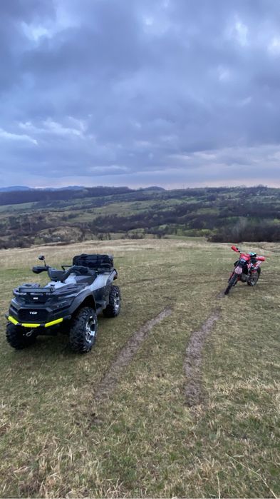 Vand/schimb tgb blade 1000 LTX