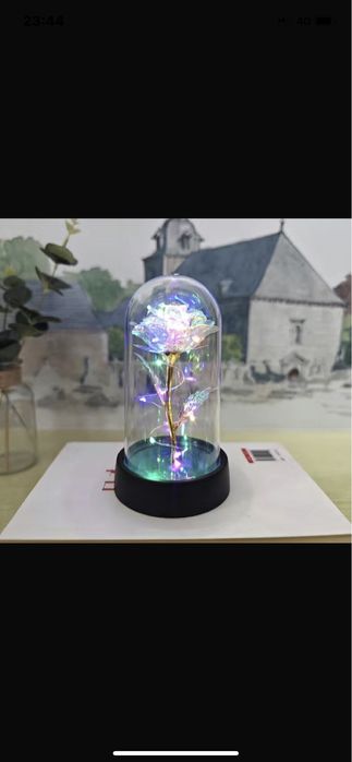 Роза в колбе цветы сувенир подарок