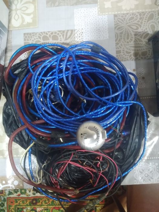 Pioneer magnitafon delphin