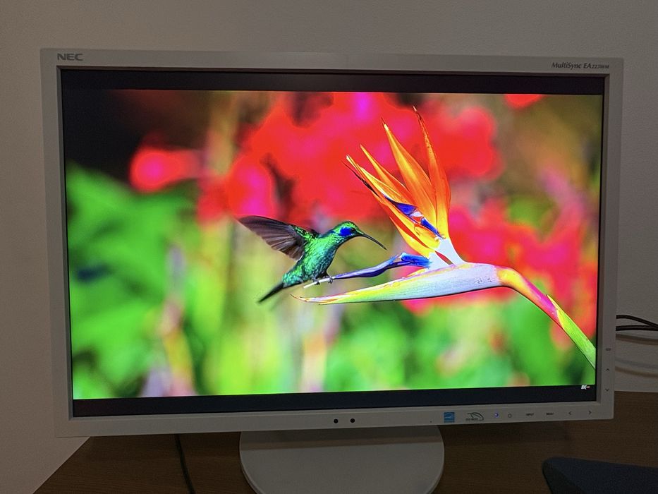 NEC MultiSync EA223WM, 22" LED, 1680x1050 HD 60hz
