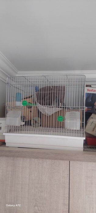Клетки для птиц кушлар учун кафасла