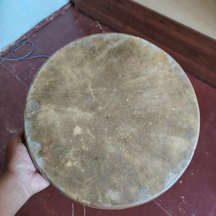 Doira yangidek 50$