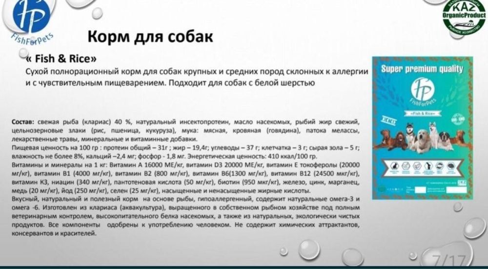 Корм для собак