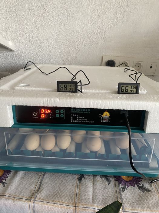 Инкубатор бизон 130