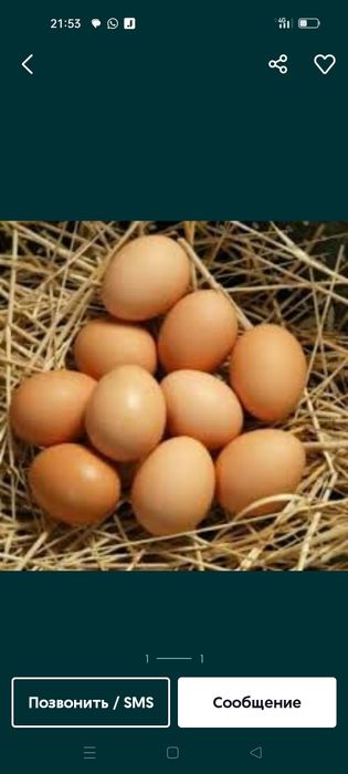 Домашнее яйца свежие