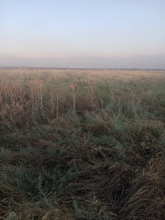 Срочно продам земельный участок