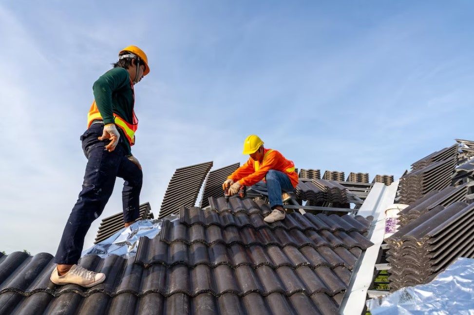 Reparatii Acoperisuri & Renovări & Sistem Pluvial & Vopsire & Dulgheri