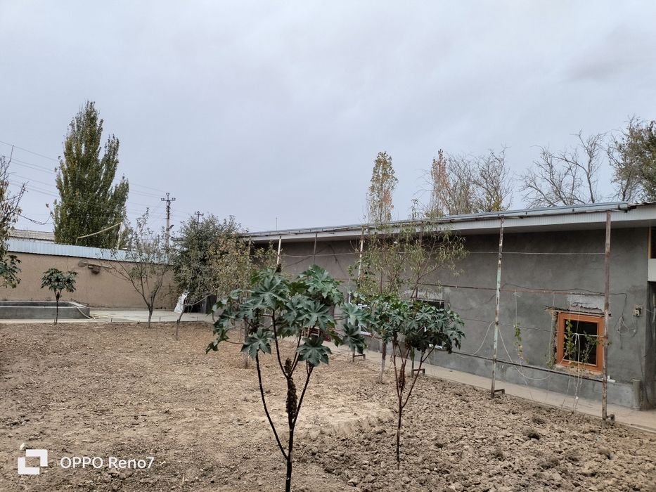 5 sotix uchaska sotiladi 3 ta xonasi narxi 55000$ kelishamz