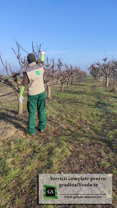Toaletare pomi fructiferi în Arad/ Tăiere pomi, îngrijire livadă