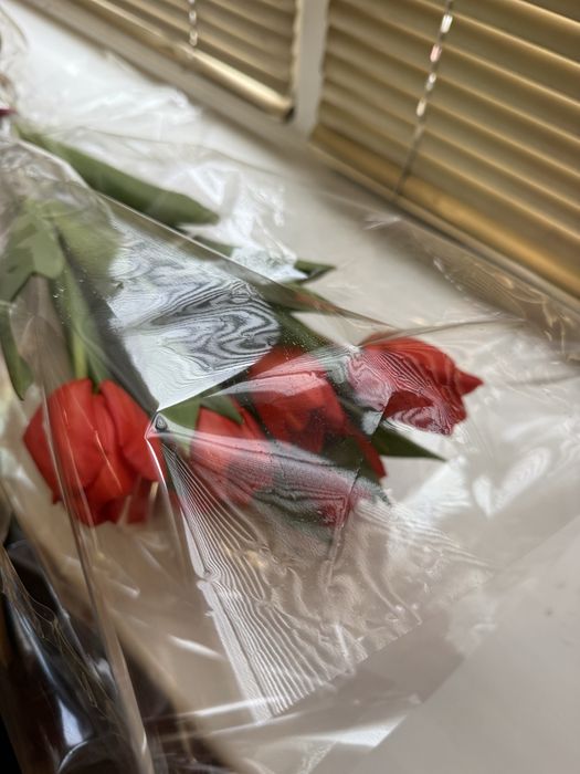 Продам цветы свежые