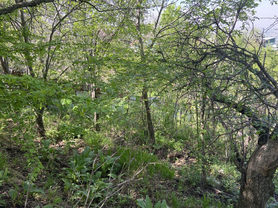 Участок на ремизовке