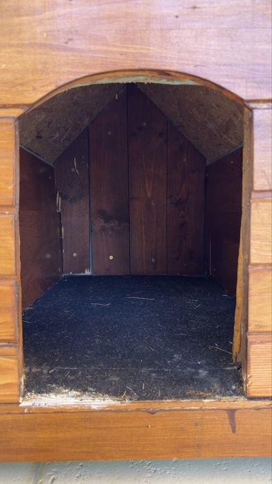 Cusca pentru caini talie mica/medie, NOUA, complet izolata !