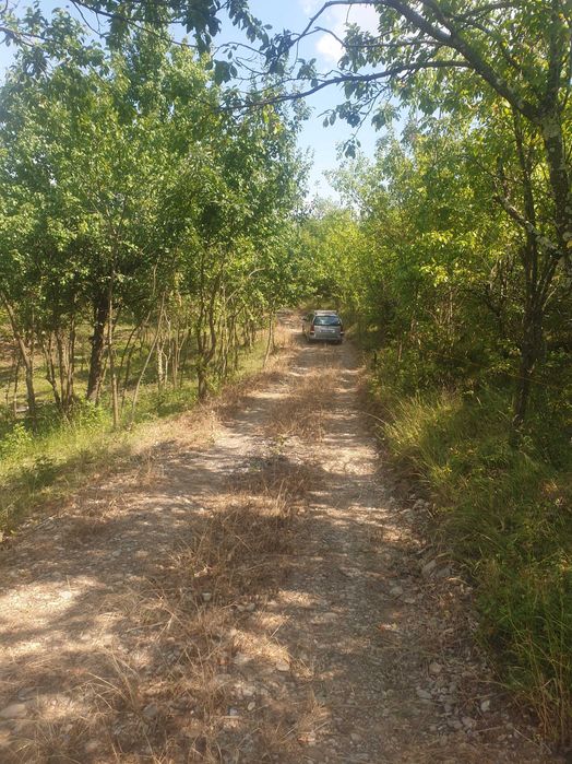 Vand teren la deal 3140 mp