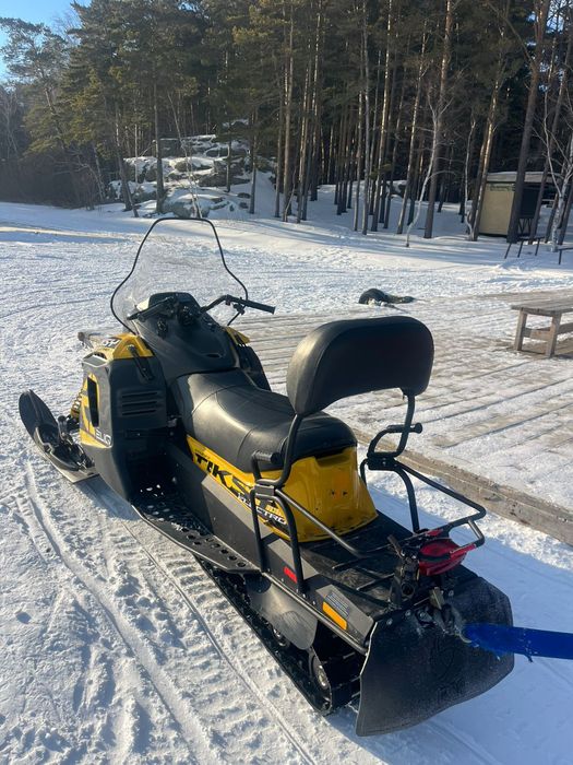 Электро Снегоходы бананы