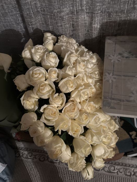 100 роза белый красивый