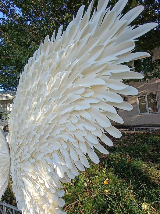 Aripi Inger Gigant pe comanda_PhotoCorner