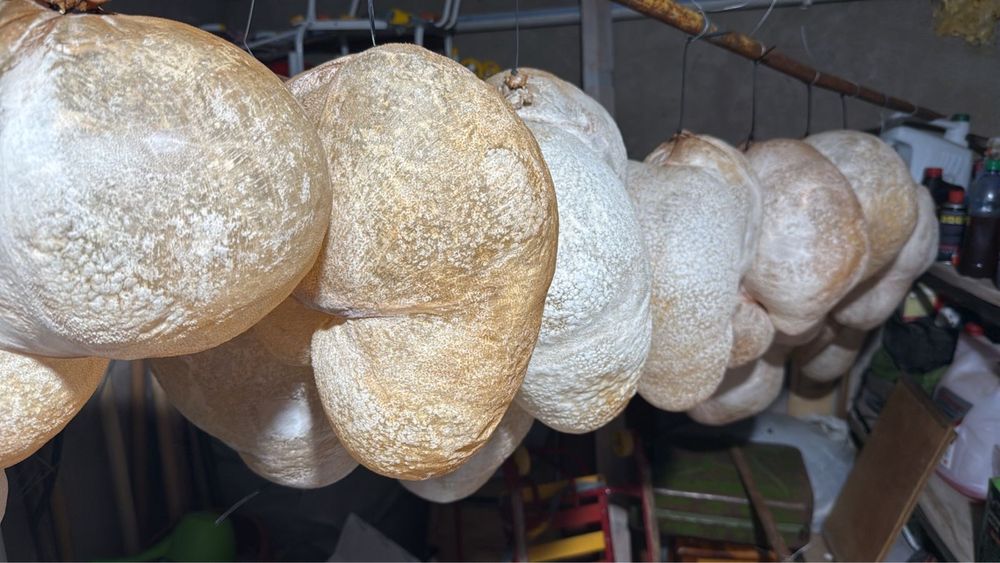 Кептірілген Қарын, карын май