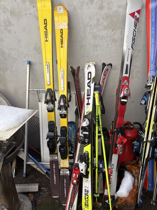 Schiuri adulti si copii