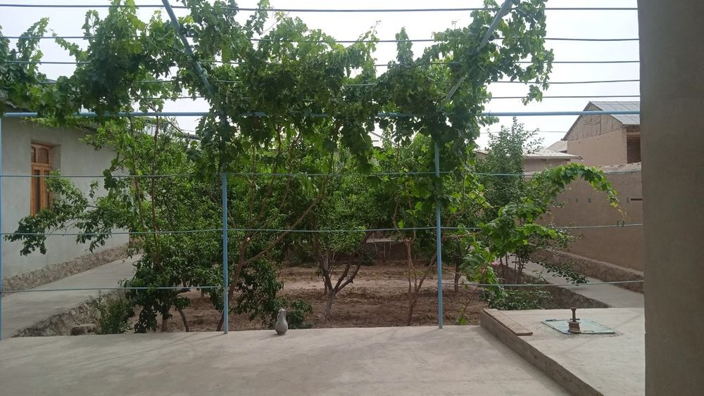 Тайёр ҳовли ҳамма шароити бор