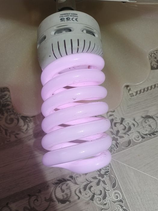 Продам лампы за все 3000