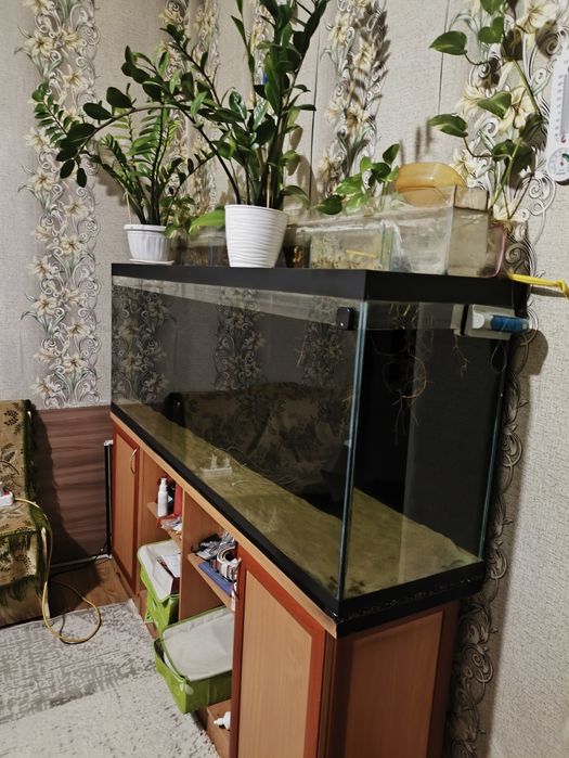 Акварюм 500 литров.