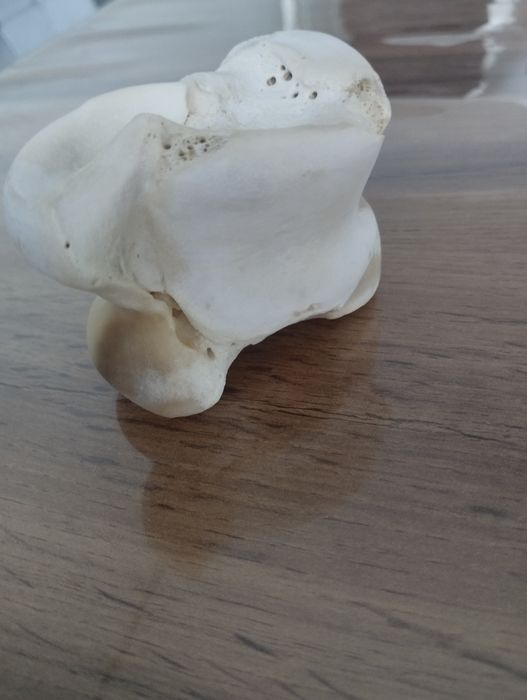 Асық сатылады,асык