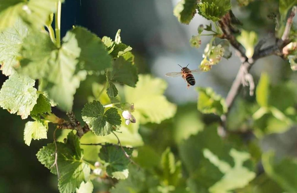 Выездная фотостудия