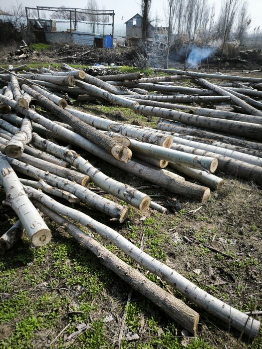 Terak sotiladi 430 oʻlchab kesilgan