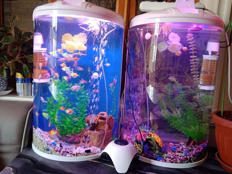 Akvarium sotiladi