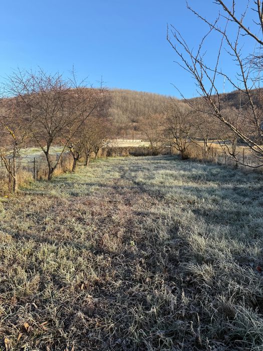 Teren de vanzare - Aninoasa , zona sub deal