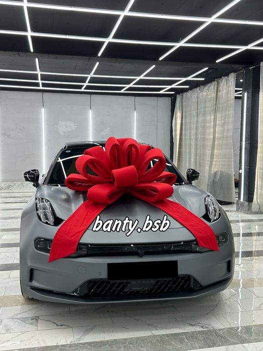 Бант на авто