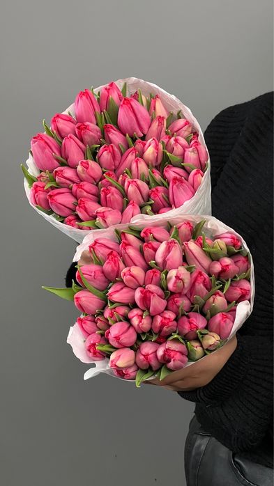 Тюльпаны голландия