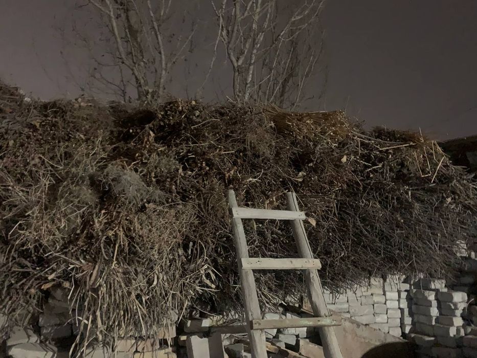 Утин сотилади   продаётся дрова