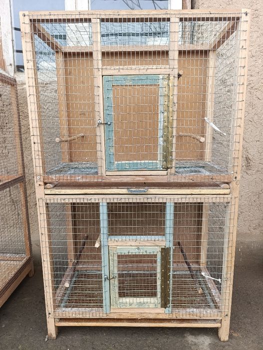 Кафас тути кушларга