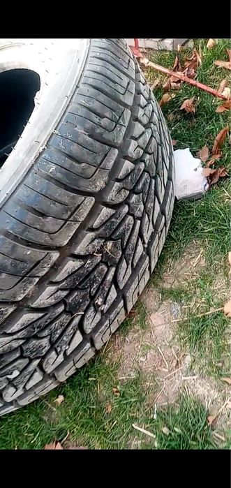Продам шины