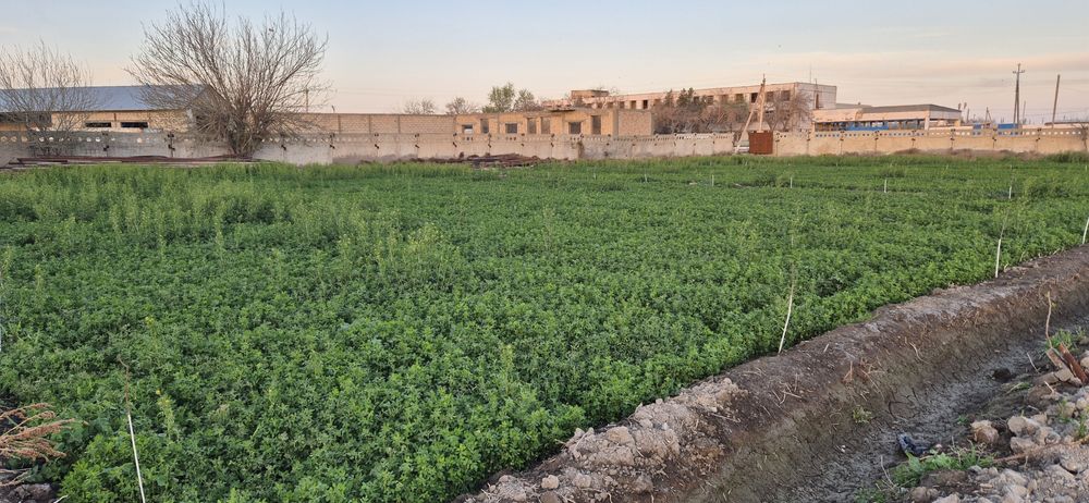 Ишлаб чикариш учун ер сотилади