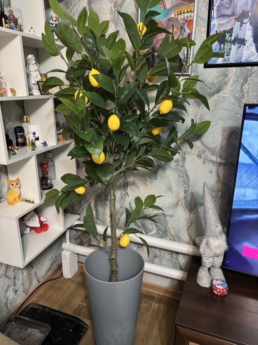 Продам искуственные деревья.