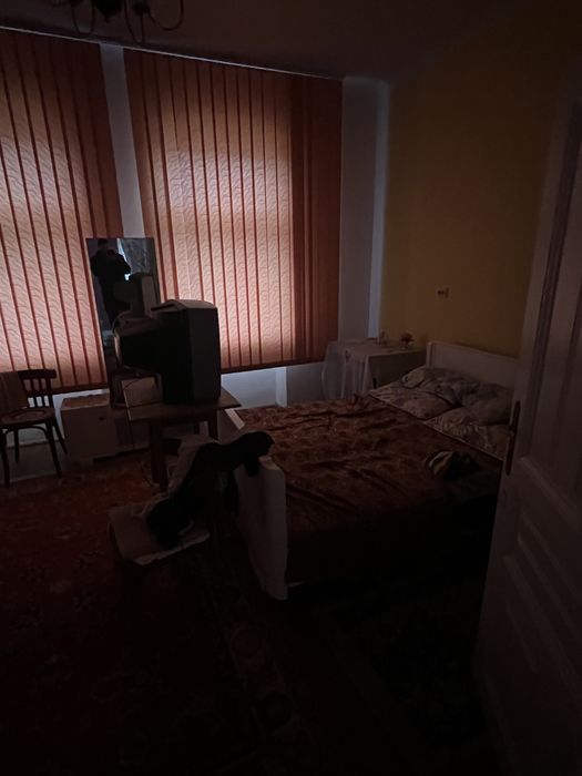 Casa individuala 5 camere/ 1.439mp , curte, mobilata, Sintesti Timis