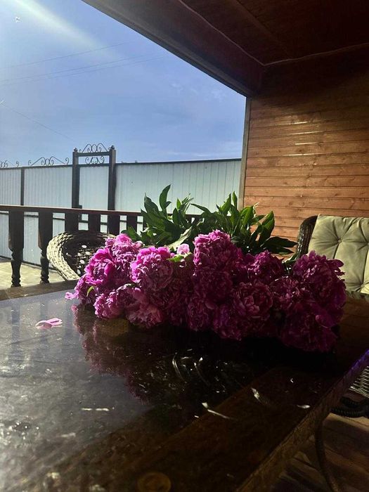 Продам дачу. С/Т Вишенка