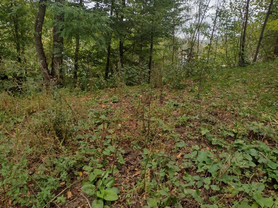 Teren intravilan 3398 mp Provita de Sus -Prahova