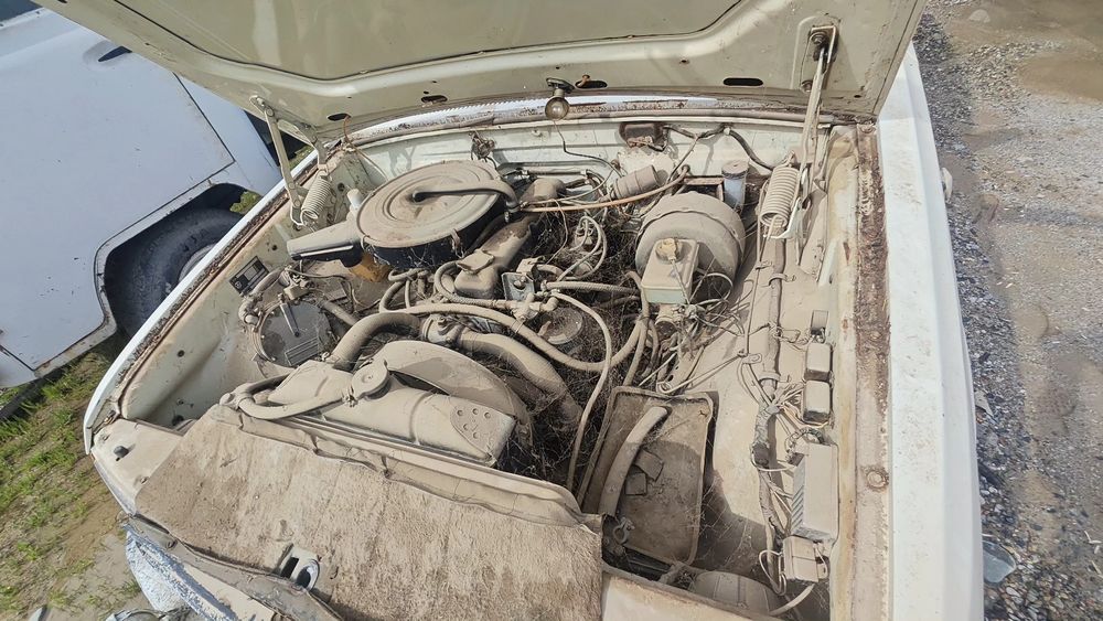 Волга 3110 год 95