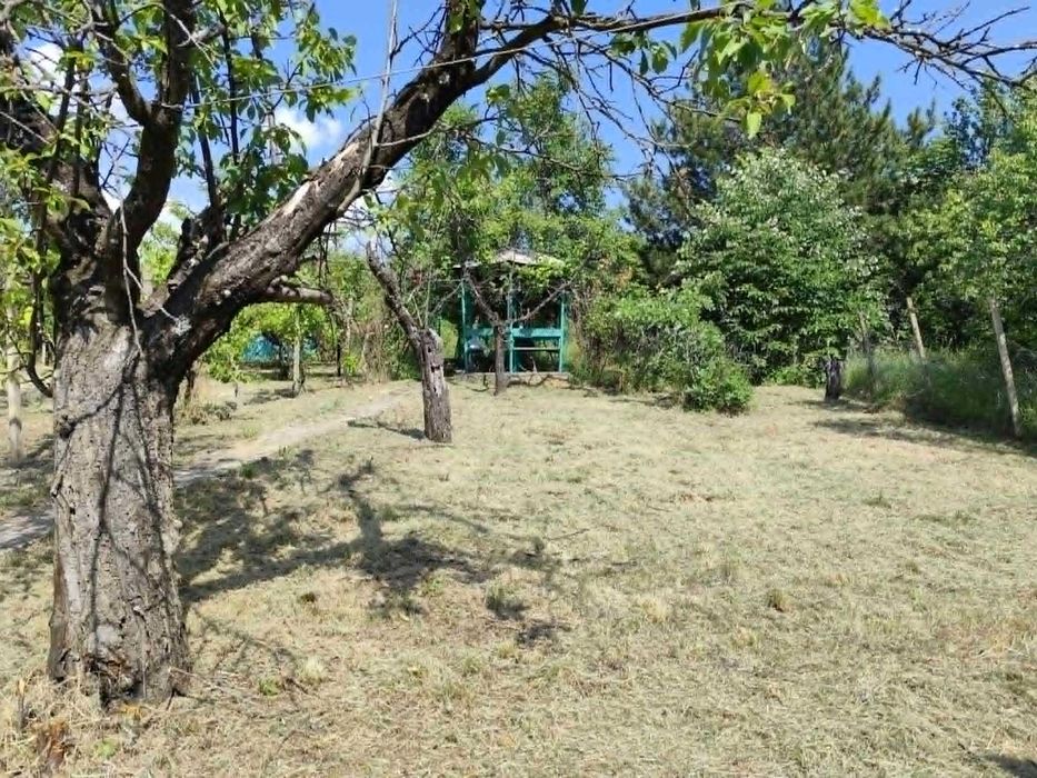 Продава се Парцел в с. Къпиново, Област Велико Търново - 1000 кв.м за 20 €/кв.м - Снимка #9