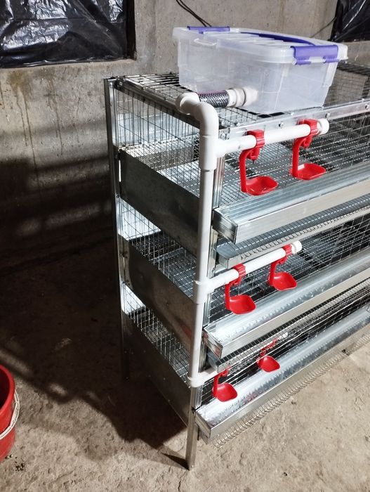 Клетка бедана заказ оламиз, P120 талик