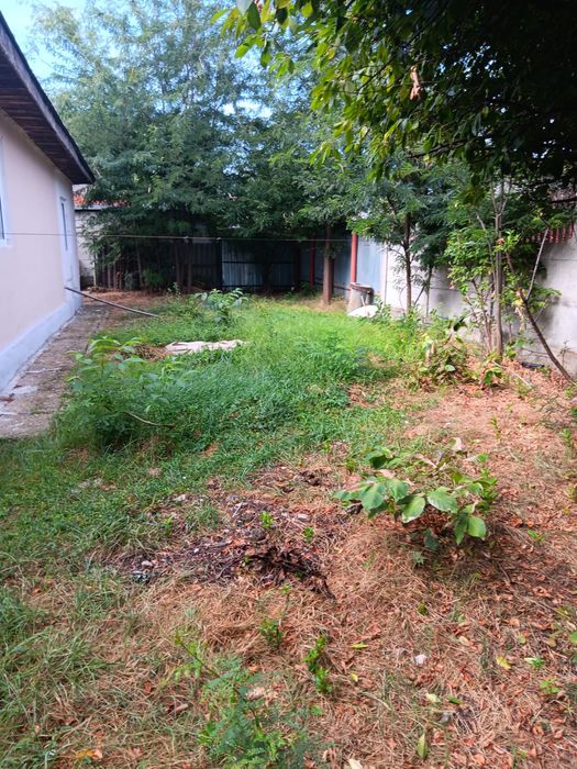 Vand casa zona linistita