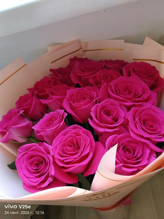 Гүлдер сатам арзан бағада