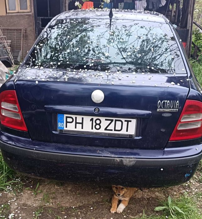 Vánd Scoda Octavia
