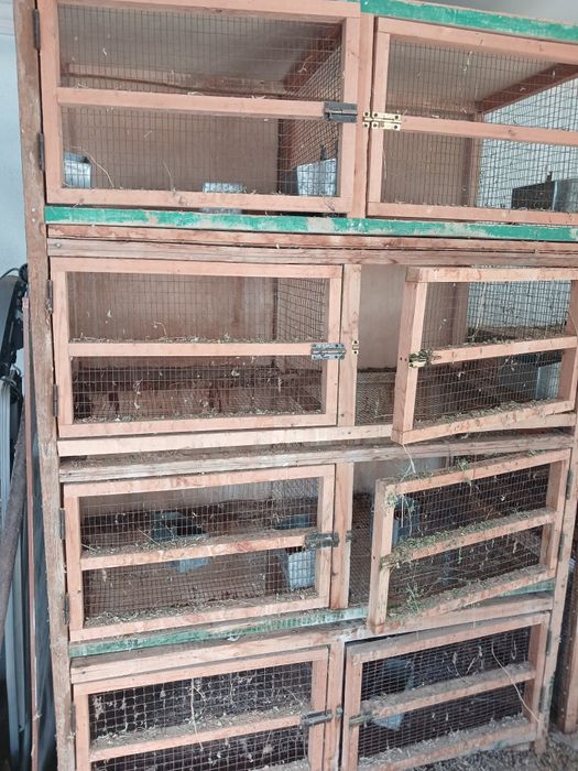 Клетка для кролика и для птиц срочно сотамиз 6 ой илатилган хули янги