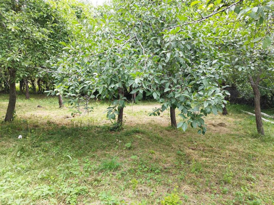 Дача в горах 47 сот {Палванак}