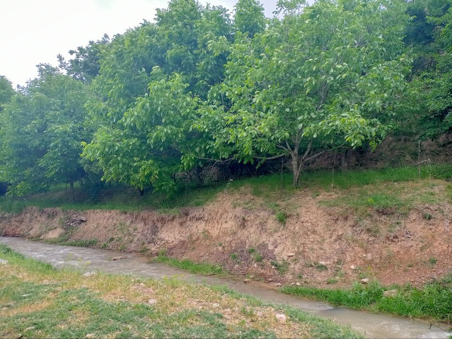 Продается дом со всем имуществом